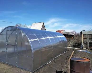 фото ДАЧНИЦА УСИЛЕННАЯ