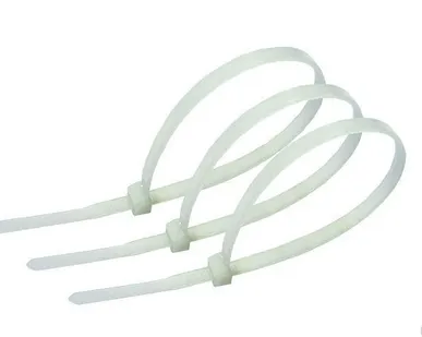 фото Хомут 100х2,5мм (100шт) FS 100 A-C