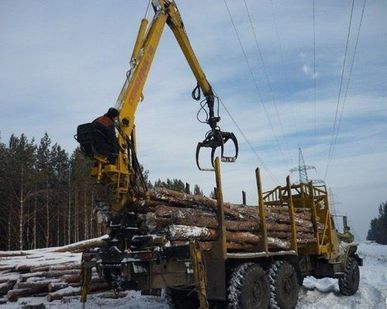 фото Услуги лесовоза Лесовоз КамАЗ 43118