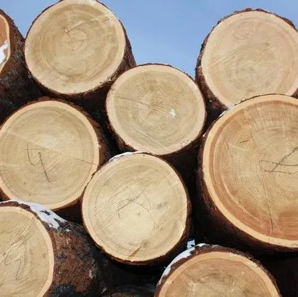 Фото №0 Лес кругляк