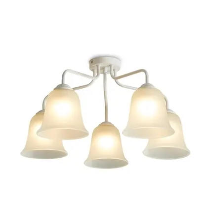 Фото №0 Светильник потолочный Freya FR5448CL-05W, белый