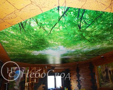 фото Сатиновый натяжной потолок с фотопечатью
