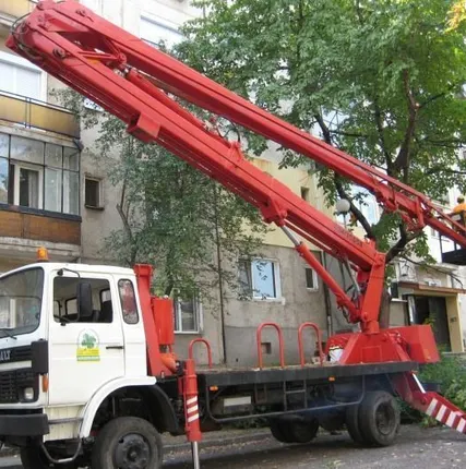 Фото №0 Спиливание деревьев