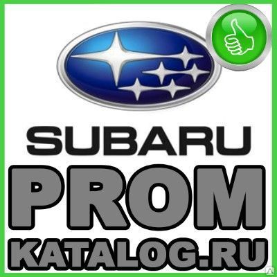 Фото №0 Вибротрамбовка электрическая  Subaru