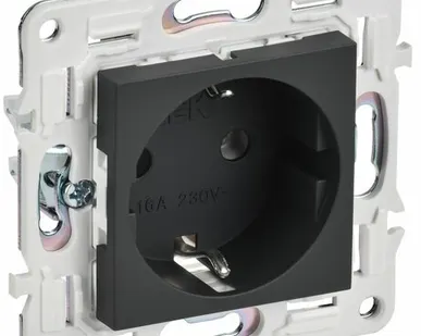 фото SKANDY Розетка с заземлением без защитных шторок 16А SK-R05G графит IEK