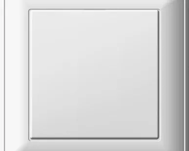 фото Выключатель 1-кл. СП W59 16А IP20 в сборе сл. кость SchE VS116-154-28