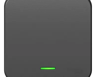 фото Выключатель 1-кл. ОП Blanca 10А IP20 (сх. 1) 250В с подсветкой с изолир. пластиной антрацит SchE BLNVA101116