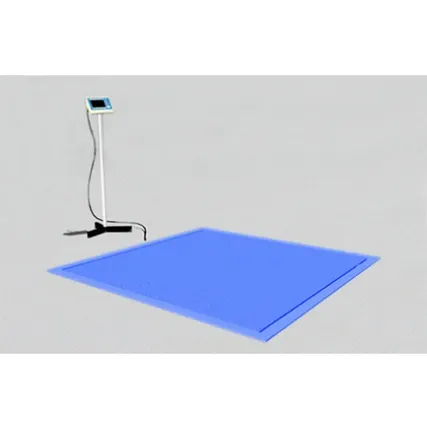 Фото №0 Весы платформенные ВСП4-600.2 В9 (1250х1250)