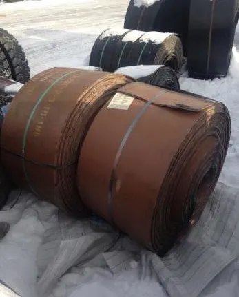 Фото №0 Лента конвейерная пищевая 3ПМ-800-4-ТК-200-2-3-1-РБ