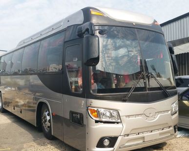 фото Туристический автобус Kia Granbird, 2010г