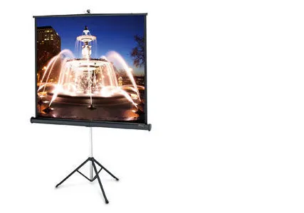 Фото №0 Экран на штативе Projecta ProView