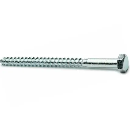 Фото №0 Шуруп ш/гр цинк 6х120 100