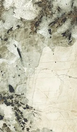 Фото №0 Керамогранит Creto Patagonia Bronze High Gloss 60х120