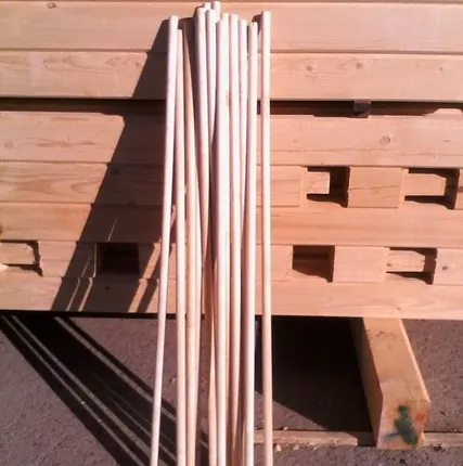 Фото №0 Шкант (нагель)