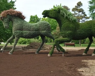 фото Садово парковые фигуры топиари