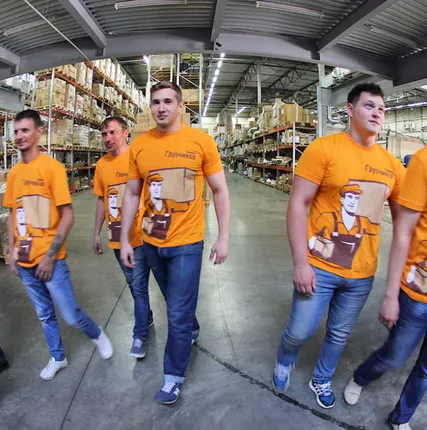 Фото №0 Сухая чистка ковров