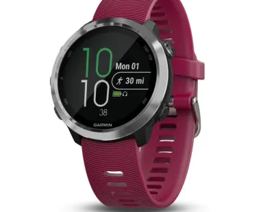 фото Часы Garmin Forerunner 645 Music с вишневым ремешком