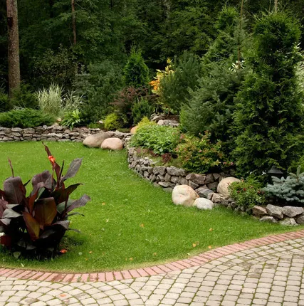 Фото №0 Озеленение территорий