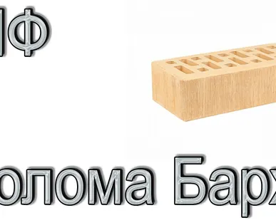 фото Кирпич Е1 КР-л-пу 1НФ ГОСТ Солома Бархат М 175