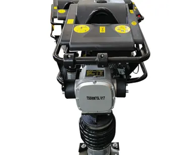 фото Вибротрамбовка бензиновая TSS RM75L VI7