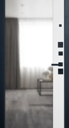 Фото №0 Сейф дверь ВФД Balance Twin / MAXI Mirror Ice