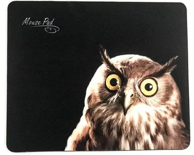 фото Коврик Dialog PM-H15 Owl