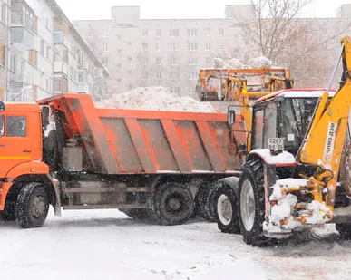 фото Вывоз снега и мусора