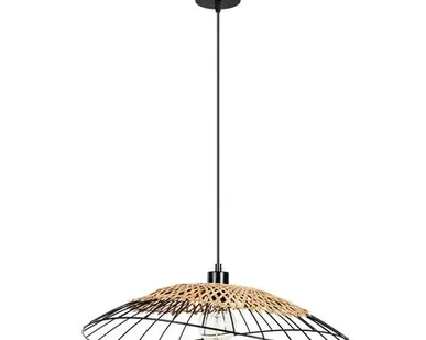 фото Подвесной светильник Arte Lamp WOODSTOCK A7061SP-1BK