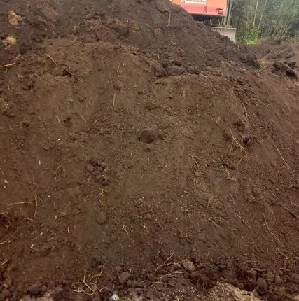 Фото №0 Торфянистая земля