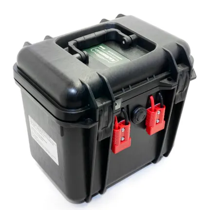 Фото №0 Батарея аккумуляторная LiFePO4 12 В. 80 А.ч. (24 В. 40 А.ч.) 80/300 А. (40/150 А.)