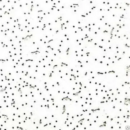 Фото №0 Панель потолочная Байкал