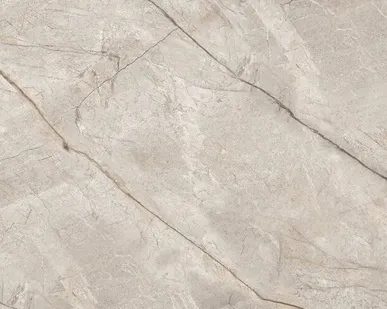 фото Керамогранит Marble Silver Stone Carving 60x120