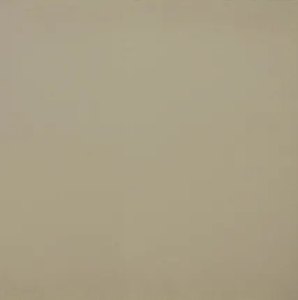 Фото №0 Керамогранит ШАХТИНСКАЯ ПЛИТКА Керамический гранит Unitile Life Техногрес 03-01 60 х 60 см бежевый неполированный ректифицированный