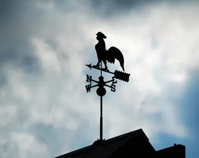 фото Флюгер на кровлю