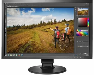 фото Монитор Eizo ColorEdge CS2420