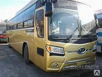 фото Автобус в аренду