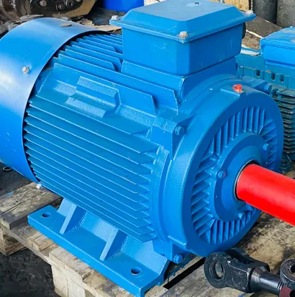 Фото №0 Электродвигатель 5аи 250 М6 55/1000 IM 1001