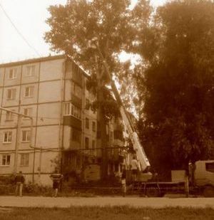 фото Уборка территорий