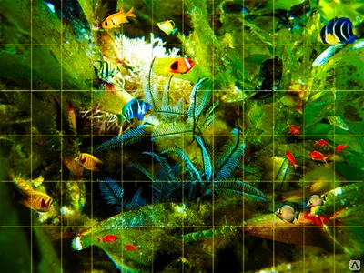 Фото №0 Печать на плитке