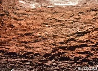 Фото №0 Суглинок с доставкой