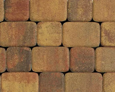 фото Плитка тротуарная Классико Б.1.КО.6 Листопад гладкий Осень