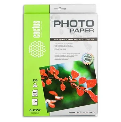 Фото №0 Бумага A4 100 шт. cactus