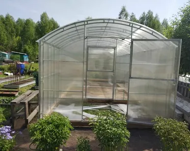 фото СИБИРСКАЯ ПРОФИ-3