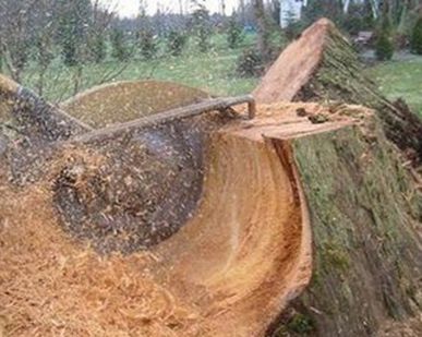фото Дробление, измельчение, фрезирование пней
