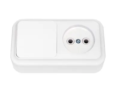 фото СВЕТОПРИБОР Блок Пралеска 1 клав.выкл+розетка б/з ОУ белый 250В В-РЦ-521 СВЕТОПРИБОР