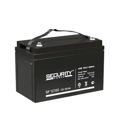 Фото №0 Аккумулятор Security Force SF 12100