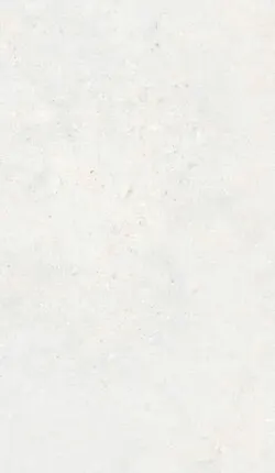 Фото №0 Merin Bone 30x60