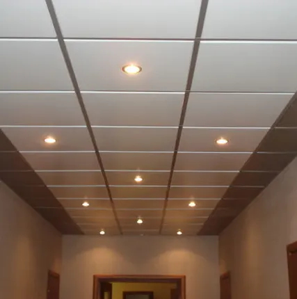 Фото №0 Подвесные потолки кассета белый глянец