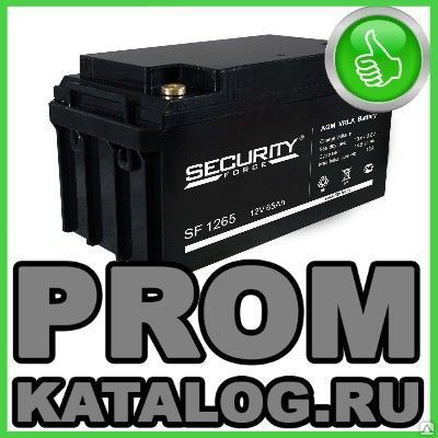 Фото №0 Аккумуляторы промышленные Security Force