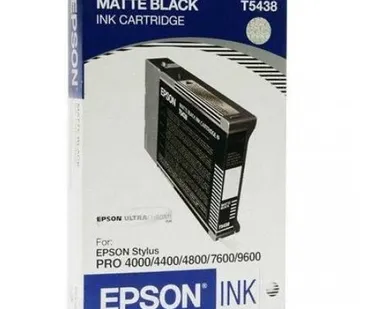 фото Картридж Epson C13T543800